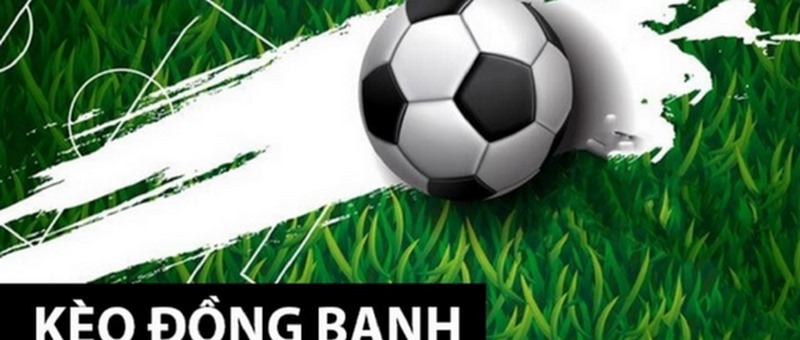98dae1efb87fd8211b906fc7a9db08d3 65210fcce7bb30783b11d1be photo 1696665548056 9vcv5gav45 Copy Kèo đồng banh